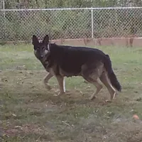 processed/38ba933f-bf92-4da4-9b37-d6969cac6deb/facility/faa6379c-c47c-4bc3-b38b-0341834fa3f3