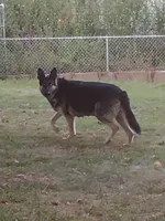 processed/38ba933f-bf92-4da4-9b37-d6969cac6deb/facility/faa6379c-c47c-4bc3-b38b-0341834fa3f3