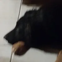 processed/38ba933f-bf92-4da4-9b37-d6969cac6deb/facility/fde54716-5382-44a7-bb29-3e7007c6d09b