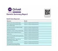 Baby girl, a  German Shepherd Dog for sale in St. Louis, MO – Photo 3 of 6