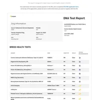 Silver Sable girl, a female German Shepherd Dog for sale in St. Louis, MO – Photo 5 of 8