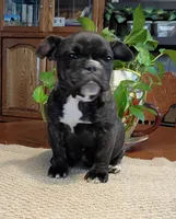 processed/38c2e6ed-17f5-4efa-88ac-895a1d1f7c7d/listing/e849aae6-fd51-4698-af98-e91dd396fd2a/2ab8185f-5b10-4a30-8d59-a919407ec7e0