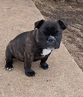 processed/38c2e6ed-17f5-4efa-88ac-895a1d1f7c7d/listing/e849aae6-fd51-4698-af98-e91dd396fd2a/5de98ef2-4435-4357-8f77-80b13ae50385