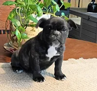 processed/38c2e6ed-17f5-4efa-88ac-895a1d1f7c7d/listing/e849aae6-fd51-4698-af98-e91dd396fd2a/a57dcd69-cb5e-48ba-bb6f-b1ff5c8310f8