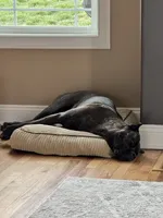 Gentle Adult Cane Corso, a female Cane Corso for sale in Stuarts Draft, VA – 2 of 4