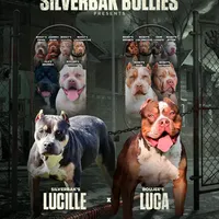 processed/38cb91e6-d866-451d-a39e-7530556c0bff/facility/6a34e2ac-3047-4ca0-9143-18449d95686f