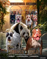 processed/38cb91e6-d866-451d-a39e-7530556c0bff/facility/7c7d18da-2572-4065-bfd4-1a6b24ab07f6