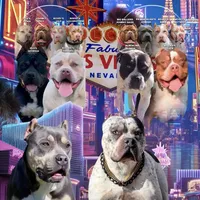 processed/38cb91e6-d866-451d-a39e-7530556c0bff/facility/ef3ee682-e633-4e4d-a218-6aa573ce368f