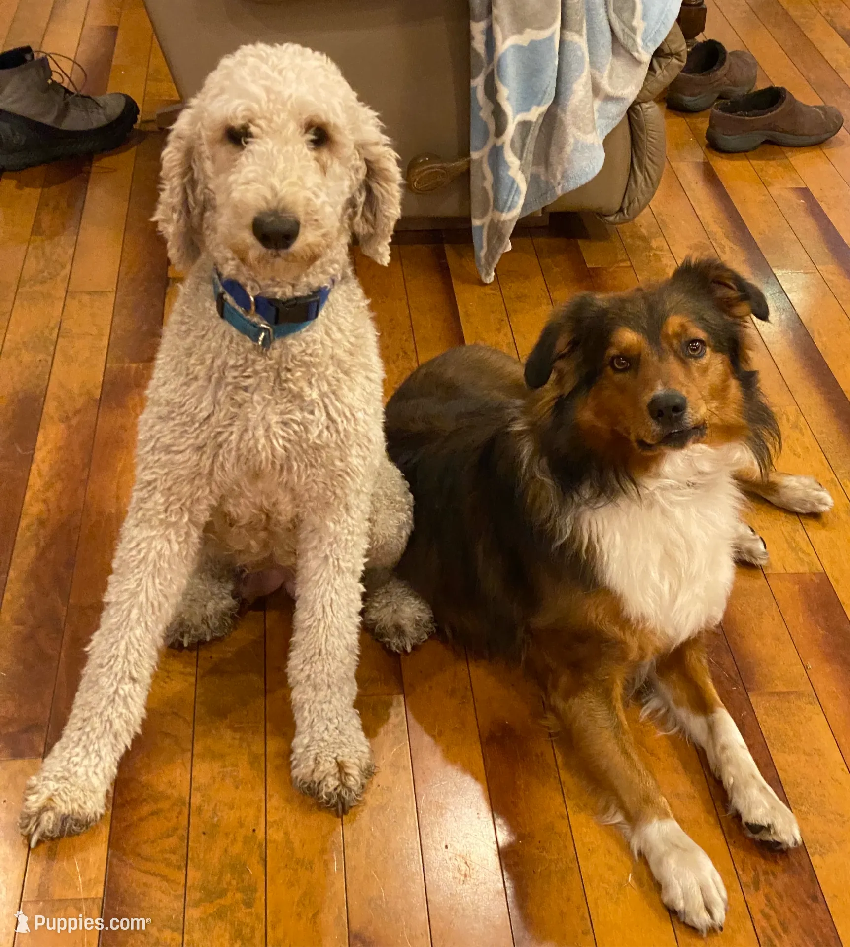 processed/38cbf672-b52c-4185-8043-30dfaa5fc9f8/facility/3a9d2af9-e43c-436a-b438-ed5e5d56a85a