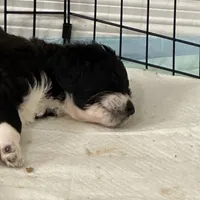 processed/38cbf672-b52c-4185-8043-30dfaa5fc9f8/facility/42fc80c8-6fd3-4ecd-a04c-83c7d85e66d2