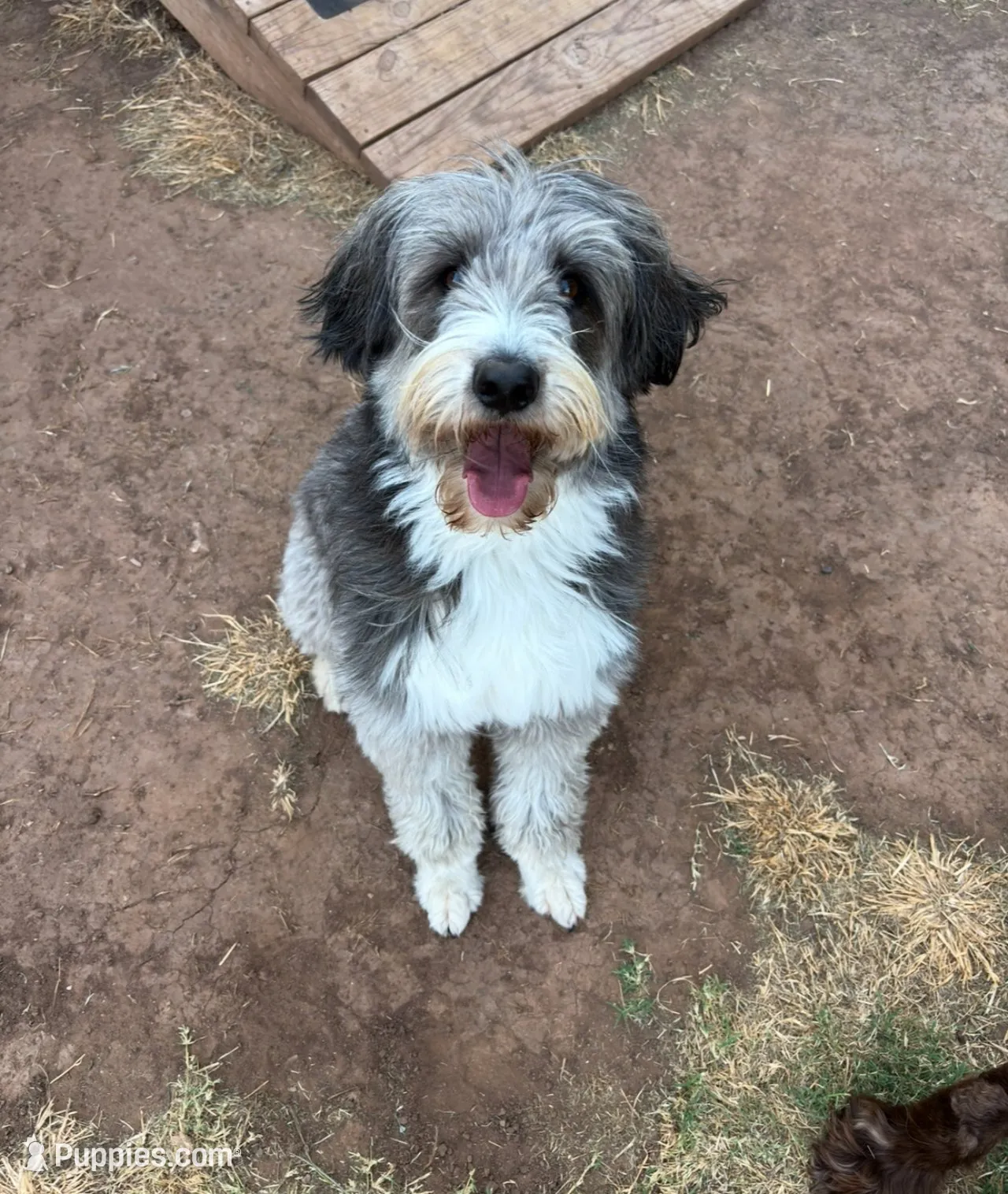 processed/38cbf672-b52c-4185-8043-30dfaa5fc9f8/facility/7e4a3b3e-814a-467e-837a-c6d39bdb5877