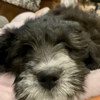 processed/38cbf672-b52c-4185-8043-30dfaa5fc9f8/facility/c16c3b29-4b91-4c6a-9724-9e19437bd525