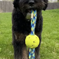 processed/38cbf672-b52c-4185-8043-30dfaa5fc9f8/facility/c8293d16-f042-4d23-a87f-2db05e87d0aa