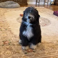 processed/38cbf672-b52c-4185-8043-30dfaa5fc9f8/facility/d19ab3c4-cc2e-4112-bfcb-e9ec760e83a2