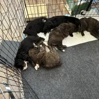 processed/38cbf672-b52c-4185-8043-30dfaa5fc9f8/facility/d23efd8b-a63f-4a83-87b3-6ba4f1ec95d4