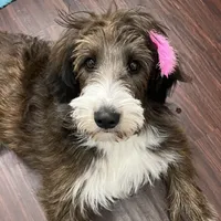 processed/38cbf672-b52c-4185-8043-30dfaa5fc9f8/facility/de66af2f-6641-4b53-a0bd-ee4ebf54a7ca