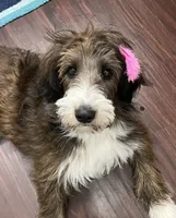 processed/38cbf672-b52c-4185-8043-30dfaa5fc9f8/facility/de66af2f-6641-4b53-a0bd-ee4ebf54a7ca