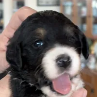 processed/38cbf672-b52c-4185-8043-30dfaa5fc9f8/facility/ec271077-63f3-4f20-ad67-5aaa3632136c