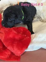 processed/38cbf672-b52c-4185-8043-30dfaa5fc9f8/listing/02d64ba1-4d49-4dc7-8666-f2678ef8d618/32817275-f354-4780-9b48-d88ba3824b64