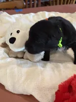 processed/38cbf672-b52c-4185-8043-30dfaa5fc9f8/listing/02d64ba1-4d49-4dc7-8666-f2678ef8d618/4aabacc2-0271-4f39-bb09-19b84517e23a