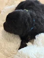 processed/38cbf672-b52c-4185-8043-30dfaa5fc9f8/listing/02d64ba1-4d49-4dc7-8666-f2678ef8d618/57b808ff-5aea-4e69-a0f3-80d9ce87b463