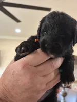 processed/38cbf672-b52c-4185-8043-30dfaa5fc9f8/listing/161a8ea1-f46d-4613-8c28-e80eb3842640/18d90529-696e-44b3-b5c3-2082054ea78a