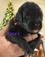 processed/38cbf672-b52c-4185-8043-30dfaa5fc9f8/listing/161a8ea1-f46d-4613-8c28-e80eb3842640/38e548f9-1b4b-4355-aa2e-7fe4385a7c91