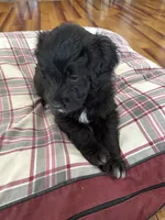 processed/38cbf672-b52c-4185-8043-30dfaa5fc9f8/listing/161a8ea1-f46d-4613-8c28-e80eb3842640/5aab4a92-e056-4b62-84ae-6d78569513c8