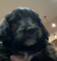 processed/38cbf672-b52c-4185-8043-30dfaa5fc9f8/listing/161a8ea1-f46d-4613-8c28-e80eb3842640/b051f975-aac4-4810-863b-5f228ca3fd1b