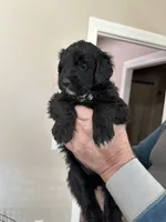 processed/38cbf672-b52c-4185-8043-30dfaa5fc9f8/listing/161a8ea1-f46d-4613-8c28-e80eb3842640/c88f52a7-3ded-4efa-908e-4973c05f7e08