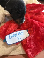 processed/38cbf672-b52c-4185-8043-30dfaa5fc9f8/listing/51bd94a1-0837-492a-8ddb-54e6f27c755a/5a94eb83-cbc0-4e84-9901-99e0d74da5d3