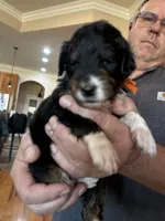 processed/38cbf672-b52c-4185-8043-30dfaa5fc9f8/listing/51bd94a1-0837-492a-8ddb-54e6f27c755a/856c3c99-517a-46de-b8b1-34b320594b5d