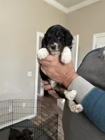 processed/38cbf672-b52c-4185-8043-30dfaa5fc9f8/listing/51bd94a1-0837-492a-8ddb-54e6f27c755a/9c0f4540-2704-4f30-b724-a2e018ee537d