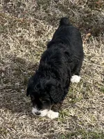 processed/38cbf672-b52c-4185-8043-30dfaa5fc9f8/listing/733f32a5-6745-41bf-aec4-1dbb87a16469/b5fb650d-539e-49f5-8774-073b177c862a