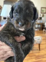 processed/38cbf672-b52c-4185-8043-30dfaa5fc9f8/listing/74773d43-78eb-4eea-a1ff-3ccaebd20448/491de43d-1a66-4af0-a68c-3e4251f4f21d