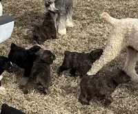 processed/38cbf672-b52c-4185-8043-30dfaa5fc9f8/listing/74773d43-78eb-4eea-a1ff-3ccaebd20448/81edf228-0f60-438c-900d-4f927ffc33d0