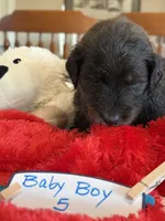 processed/38cbf672-b52c-4185-8043-30dfaa5fc9f8/listing/74773d43-78eb-4eea-a1ff-3ccaebd20448/b4b69a66-3983-45a3-9ba5-92f8ea484e0f