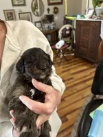 processed/38cbf672-b52c-4185-8043-30dfaa5fc9f8/listing/74773d43-78eb-4eea-a1ff-3ccaebd20448/e393e50c-48c3-4f40-bdf8-d17cfb8ca020