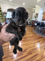 processed/38cbf672-b52c-4185-8043-30dfaa5fc9f8/listing/74773d43-78eb-4eea-a1ff-3ccaebd20448/f7359e94-ae25-43ec-951f-3b426e7553aa