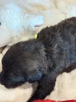 processed/38cbf672-b52c-4185-8043-30dfaa5fc9f8/listing/76b82d79-ca7a-420a-b86a-2fd840352d2f/48da4a5b-ab89-4597-968e-d3d94a098df4