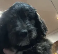 processed/38cbf672-b52c-4185-8043-30dfaa5fc9f8/listing/76b82d79-ca7a-420a-b86a-2fd840352d2f/5367f2f2-edb7-4c30-8bfd-7e3b42965303