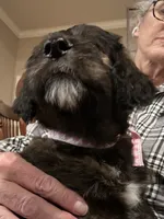 processed/38cbf672-b52c-4185-8043-30dfaa5fc9f8/listing/76b82d79-ca7a-420a-b86a-2fd840352d2f/9baaf5b4-47ad-417a-9992-084f1088b78f