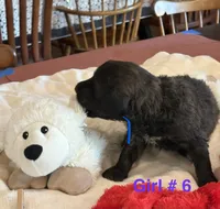 processed/38cbf672-b52c-4185-8043-30dfaa5fc9f8/listing/76b82d79-ca7a-420a-b86a-2fd840352d2f/b2ea4a0b-7510-4f26-9ecf-0cab4a59e4f0