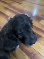 processed/38cbf672-b52c-4185-8043-30dfaa5fc9f8/listing/76b82d79-ca7a-420a-b86a-2fd840352d2f/dd62316b-828a-4f17-b19f-401ff1de29ae