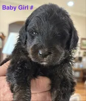 processed/38cbf672-b52c-4185-8043-30dfaa5fc9f8/listing/76b82d79-ca7a-420a-b86a-2fd840352d2f/f8b5c805-6245-47c1-80a9-6a8120b4a6eb