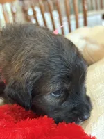 processed/38cbf672-b52c-4185-8043-30dfaa5fc9f8/listing/9026ffa5-abcd-4079-8995-5dadf08d535a/073d58d4-4775-4f5c-93be-9bf172bd0fa6