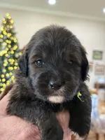 processed/38cbf672-b52c-4185-8043-30dfaa5fc9f8/listing/9026ffa5-abcd-4079-8995-5dadf08d535a/4b4ce3c8-7ca8-46b2-8753-1911c1dab497