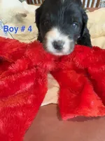 processed/38cbf672-b52c-4185-8043-30dfaa5fc9f8/listing/a80f662d-5e87-4fe8-b141-2a65a934e4cd/076ad6c7-d1e8-4fb1-ab32-a7d980bec27f