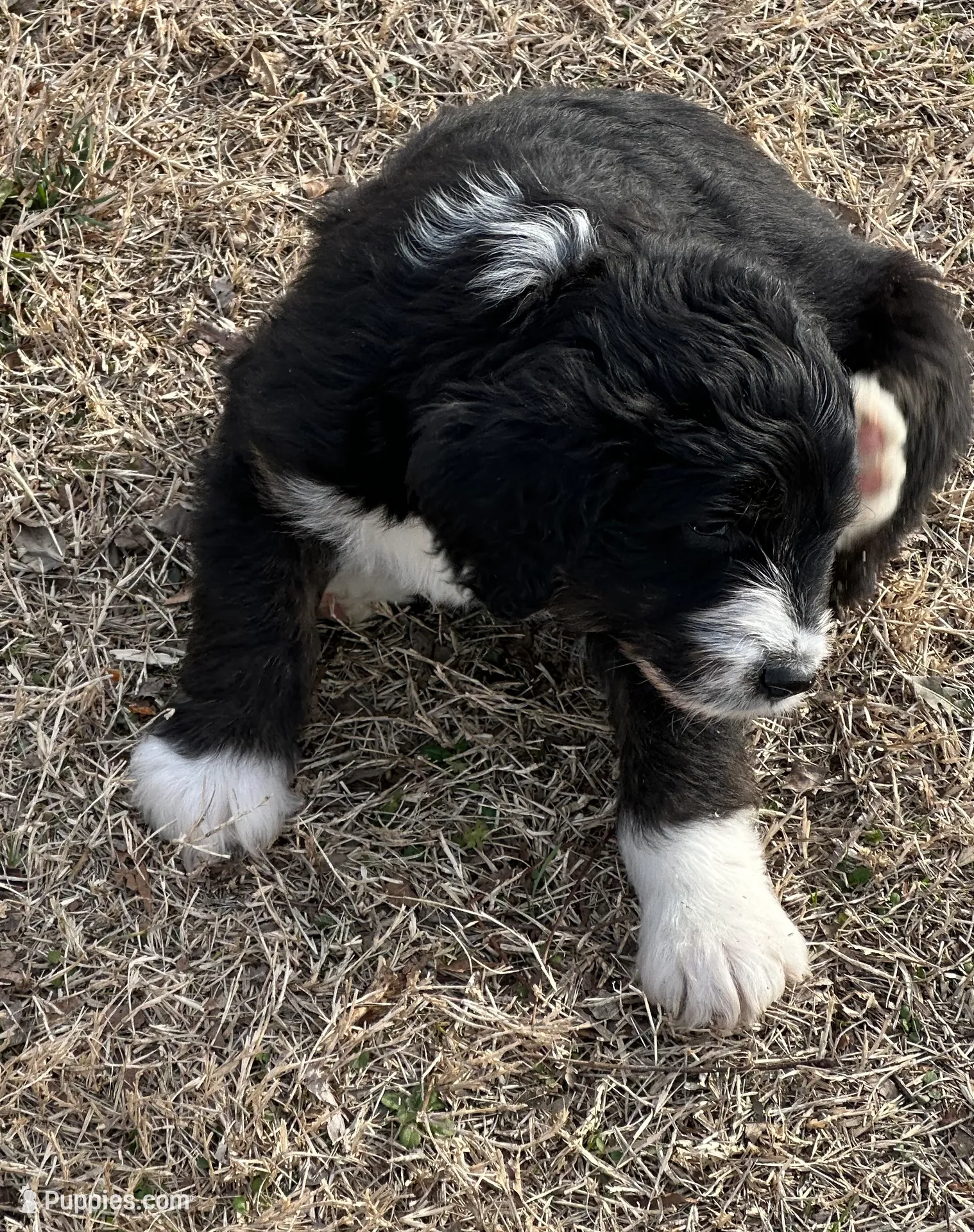 processed/38cbf672-b52c-4185-8043-30dfaa5fc9f8/listing/a80f662d-5e87-4fe8-b141-2a65a934e4cd/2aaea6ac-bb97-4130-a661-723f524c5ceb