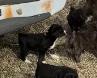 processed/38cbf672-b52c-4185-8043-30dfaa5fc9f8/listing/a80f662d-5e87-4fe8-b141-2a65a934e4cd/95cd99c4-58eb-43f9-8fa7-4e88cd44b97f